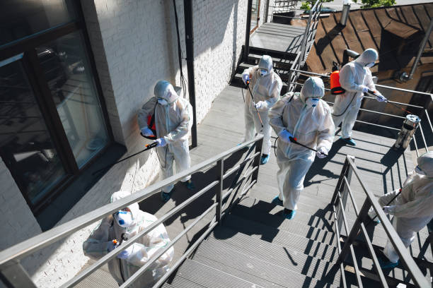Best Biohazard Mold Removal  in Cottonwood, MN