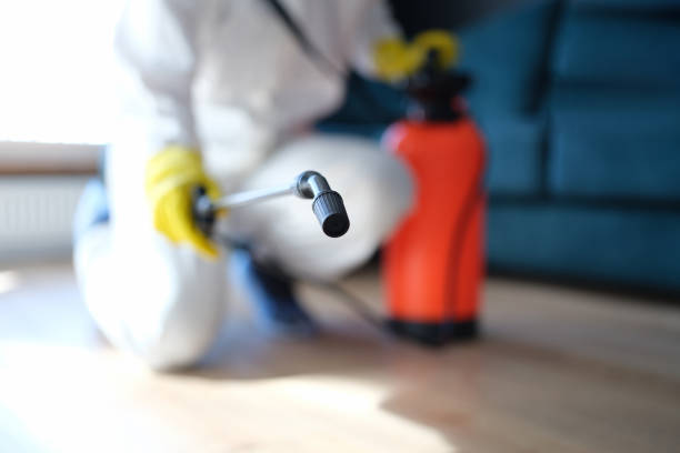 Best Comprehensive Air Testing for Mold Contaminants  in Cottonwood, MN