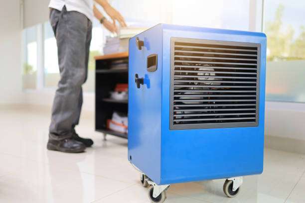 Best Airborne Mold Testing  in Cottonwood, MN