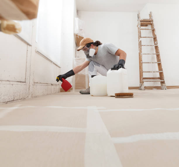 Best Mold-Related Health Consultation  in Cottonwood, MN